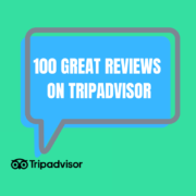 tripadvisor 100 reviews